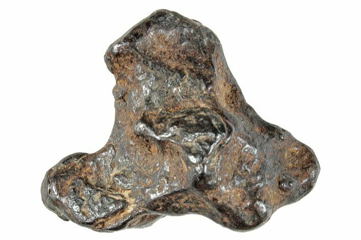 Sericho Pallasite Meteorite ( g) Metal Skeleton #267034